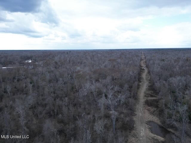470 Acres on Calcasieu River in Allen Parish, LA