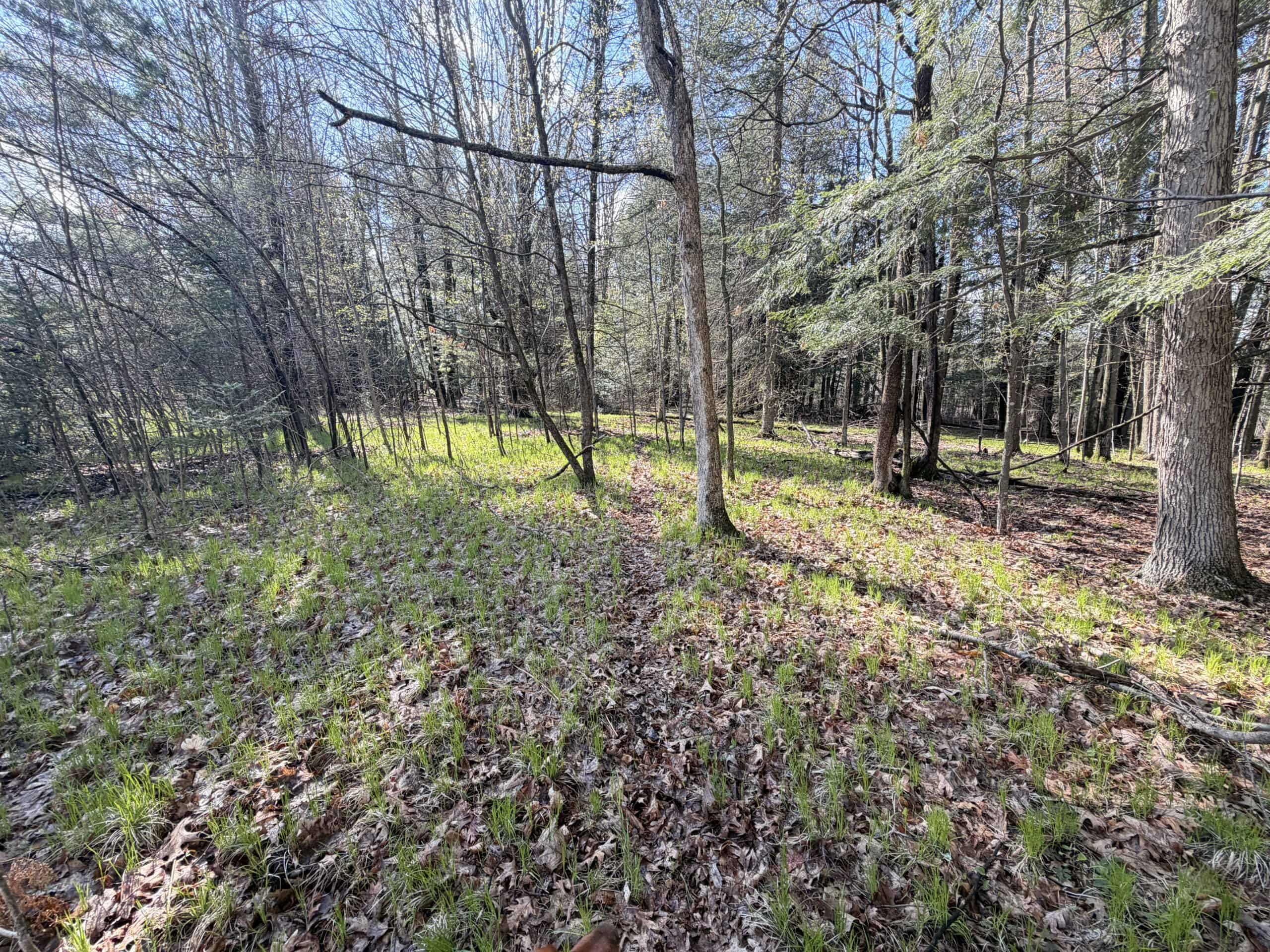 120 acres located in the Town of Dewey, Portage County, WI
