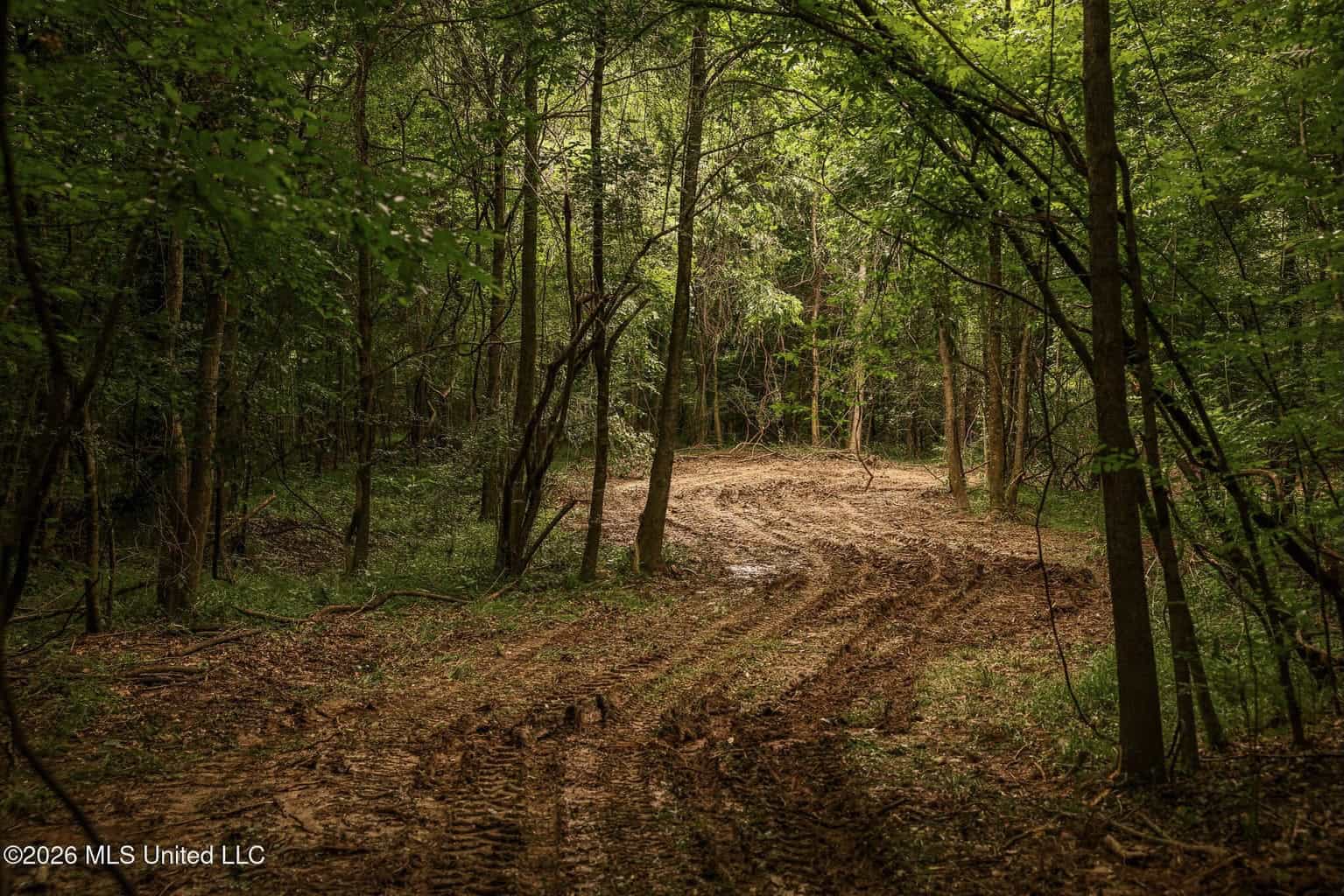 Land for Sale in Amite County, MS