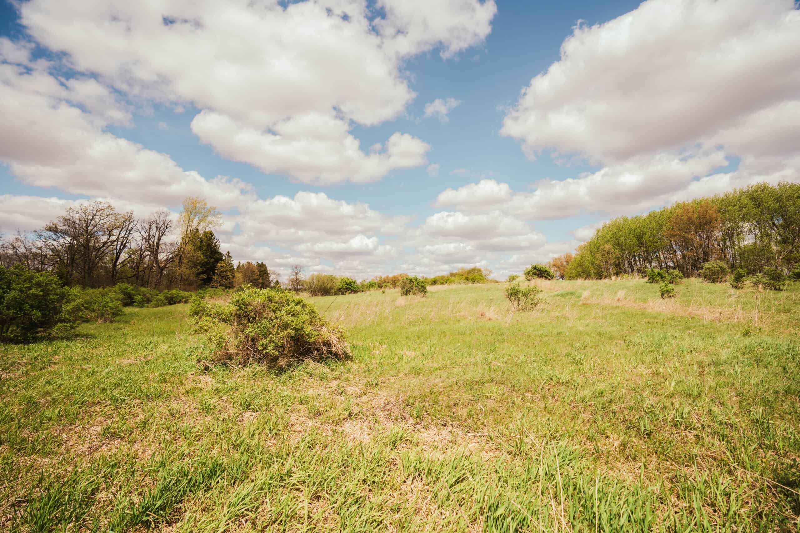 74 Acres in Dane County Town of York Rec, Hunting and Build Site for Sale