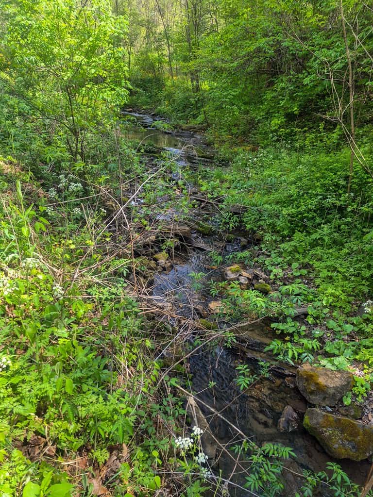 1,200-Acre Tazewell Mountain Legacy: The Dry Fork Estate