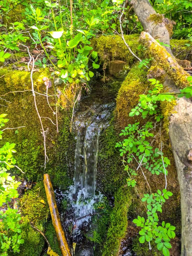 1,200-Acre Tazewell Mountain Legacy: The Dry Fork Estate