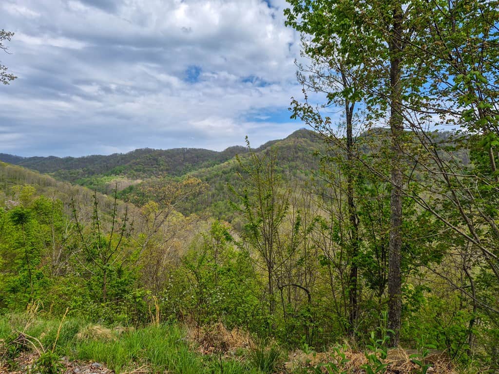 1,200-Acre Tazewell Mountain Legacy: The Dry Fork Estate