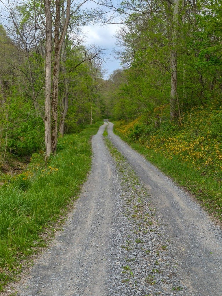 1,200-Acre Tazewell Mountain Legacy: The Dry Fork Estate