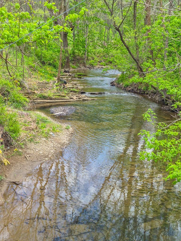 1,200-Acre Tazewell Mountain Legacy: The Dry Fork Estate