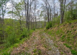 1,200-Acre Tazewell Mountain Legacy: The Dry Fork Estate