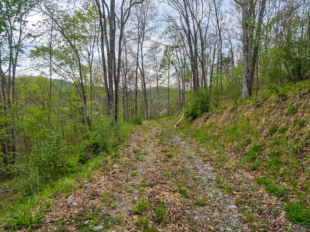 1,200-Acre Tazewell Mountain Legacy: The Dry Fork Estate
