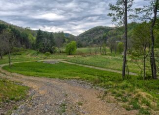 1,200-Acre Tazewell Mountain Legacy: The Dry Fork Estate