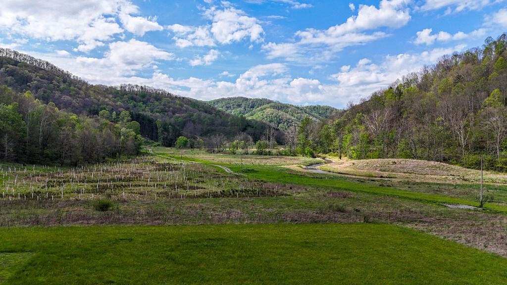 1,200-Acre Tazewell Mountain Legacy: The Dry Fork Estate