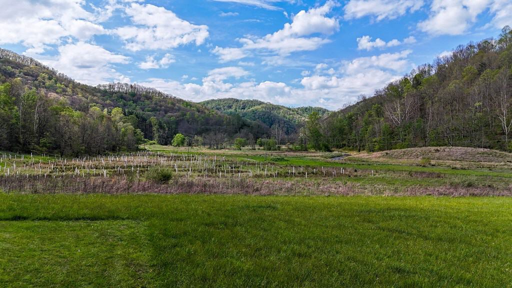 1,200-Acre Tazewell Mountain Legacy: The Dry Fork Estate