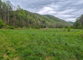 1,200-Acre Tazewell Mountain Legacy: The Dry Fork Estate