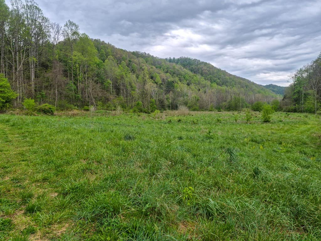 1,200-Acre Tazewell Mountain Legacy: The Dry Fork Estate