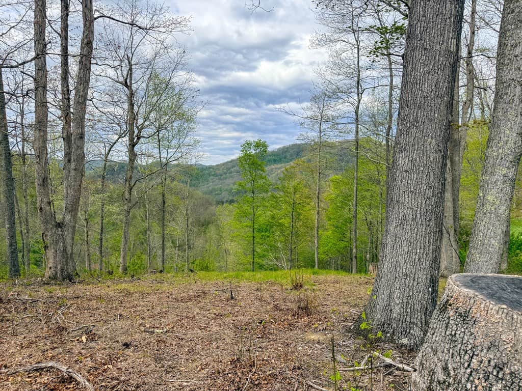 1,200-Acre Tazewell Mountain Legacy: The Dry Fork Estate