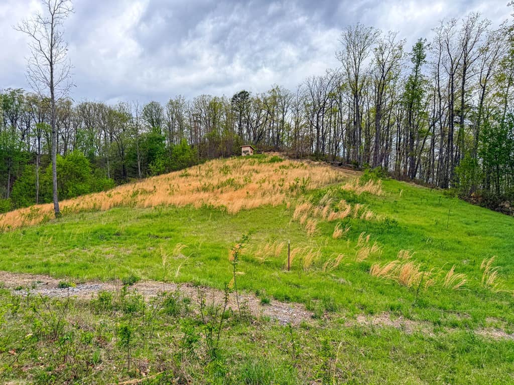 1,200-Acre Tazewell Mountain Legacy: The Dry Fork Estate