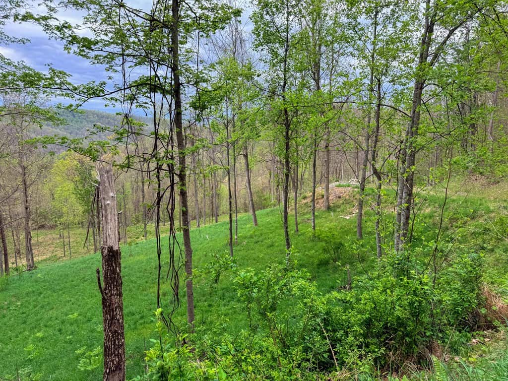 1,200-Acre Tazewell Mountain Legacy: The Dry Fork Estate