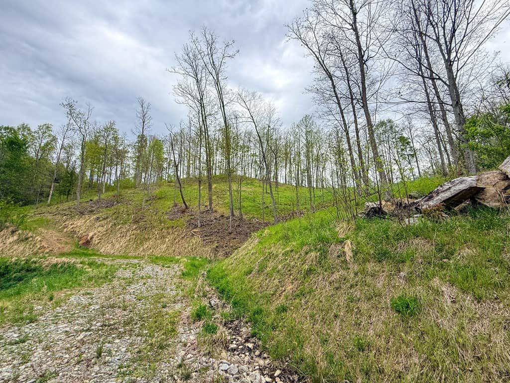 1,200-Acre Tazewell Mountain Legacy: The Dry Fork Estate