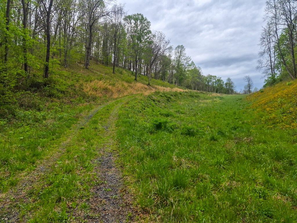 1,200-Acre Tazewell Mountain Legacy: The Dry Fork Estate