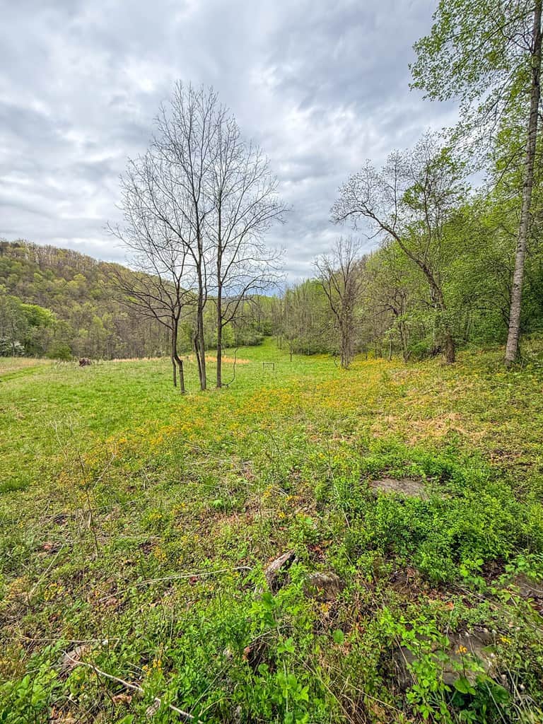 1,200-Acre Tazewell Mountain Legacy: The Dry Fork Estate