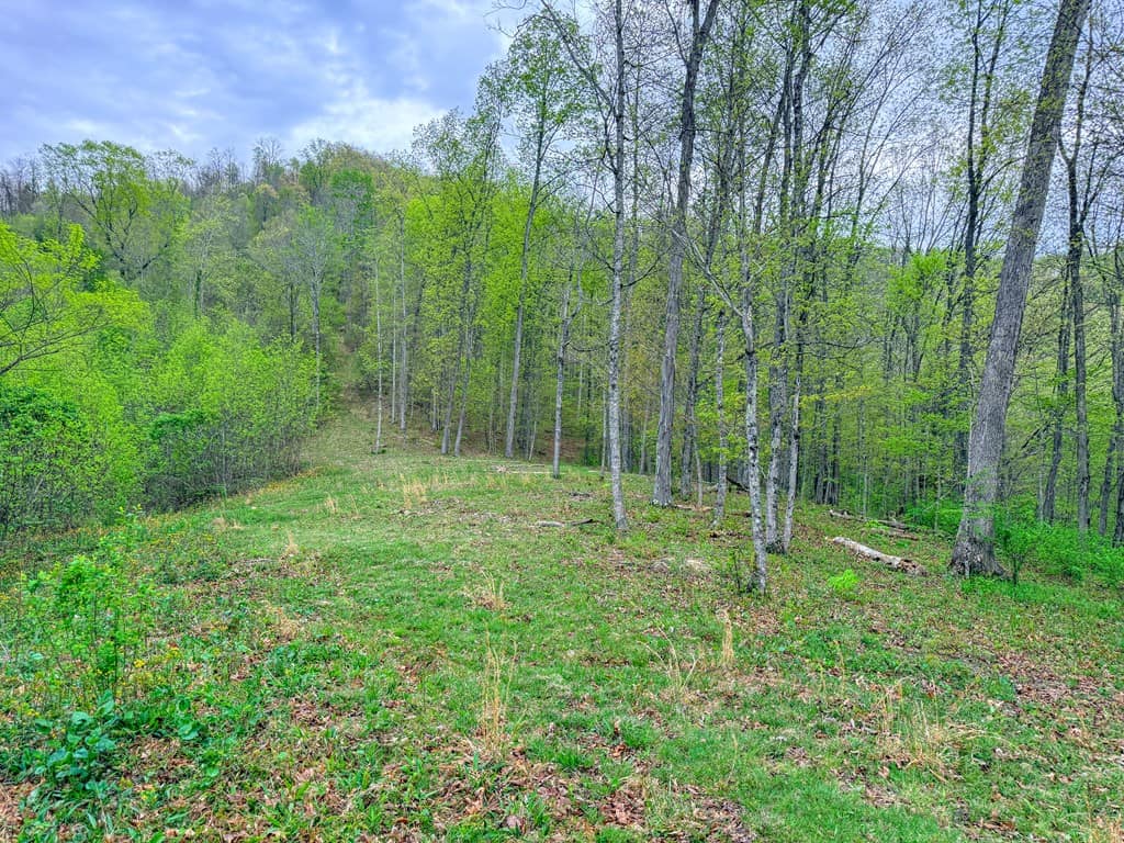1,200-Acre Tazewell Mountain Legacy: The Dry Fork Estate
