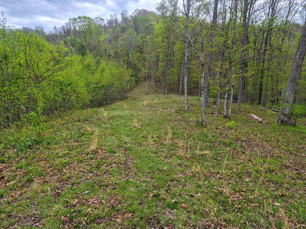 1,200-Acre Tazewell Mountain Legacy: The Dry Fork Estate