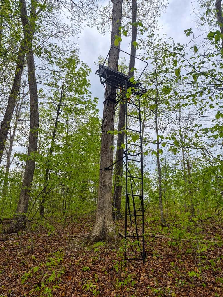 1,200-Acre Tazewell Mountain Legacy: The Dry Fork Estate