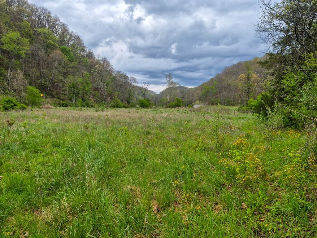 1,200-Acre Tazewell Mountain Legacy: The Dry Fork Estate