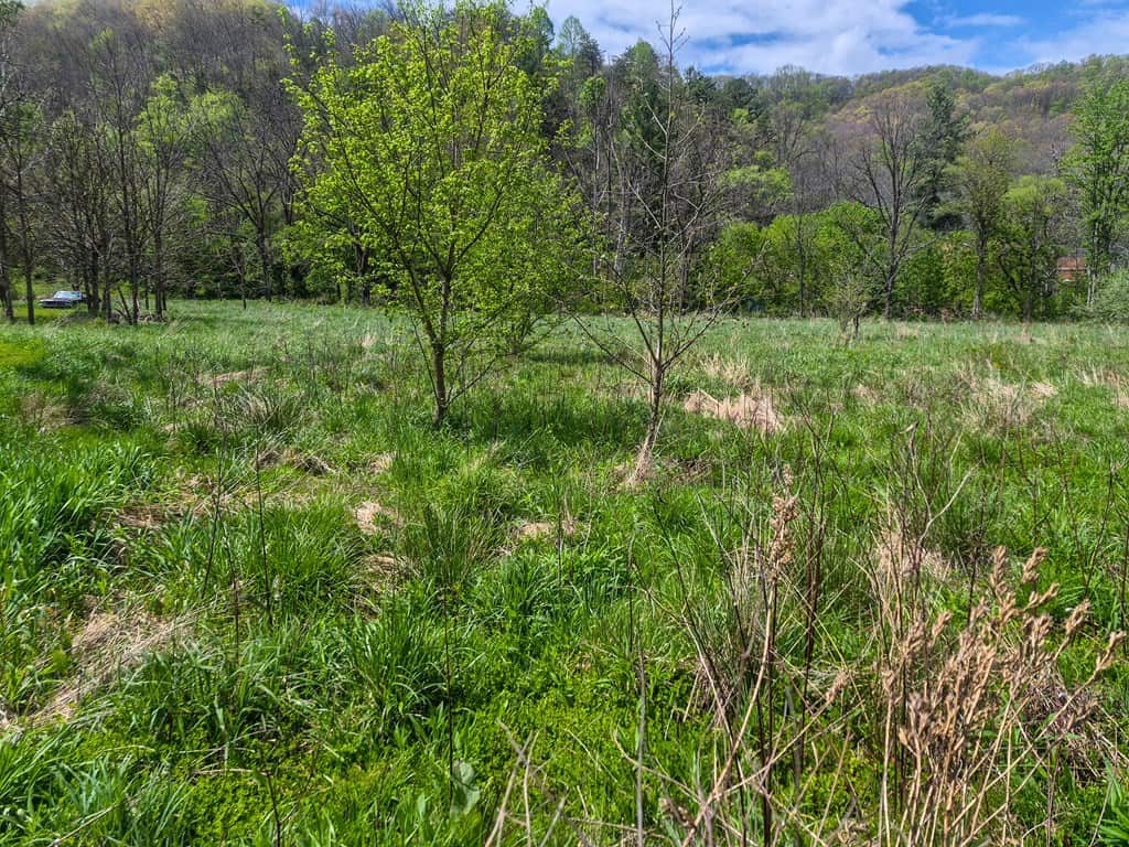 1,200-Acre Tazewell Mountain Legacy: The Dry Fork Estate