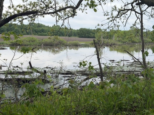 Trophy Whitetail Farm In NW Missouri For Sale – 45 Acres