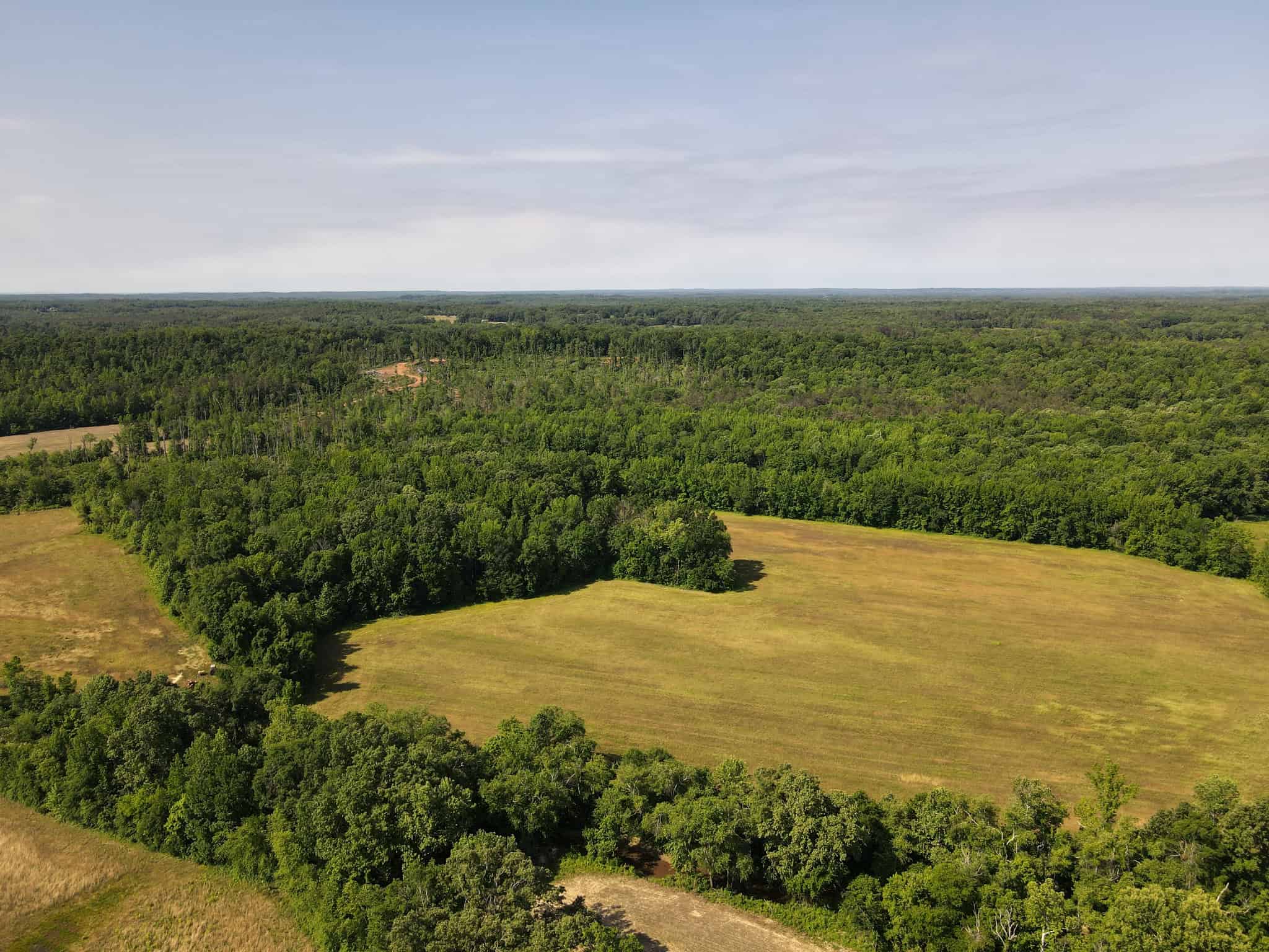 LAND FOR SALE IN TN, HOMESITE, HUNTING, FIELD, TIMBER, CREEK