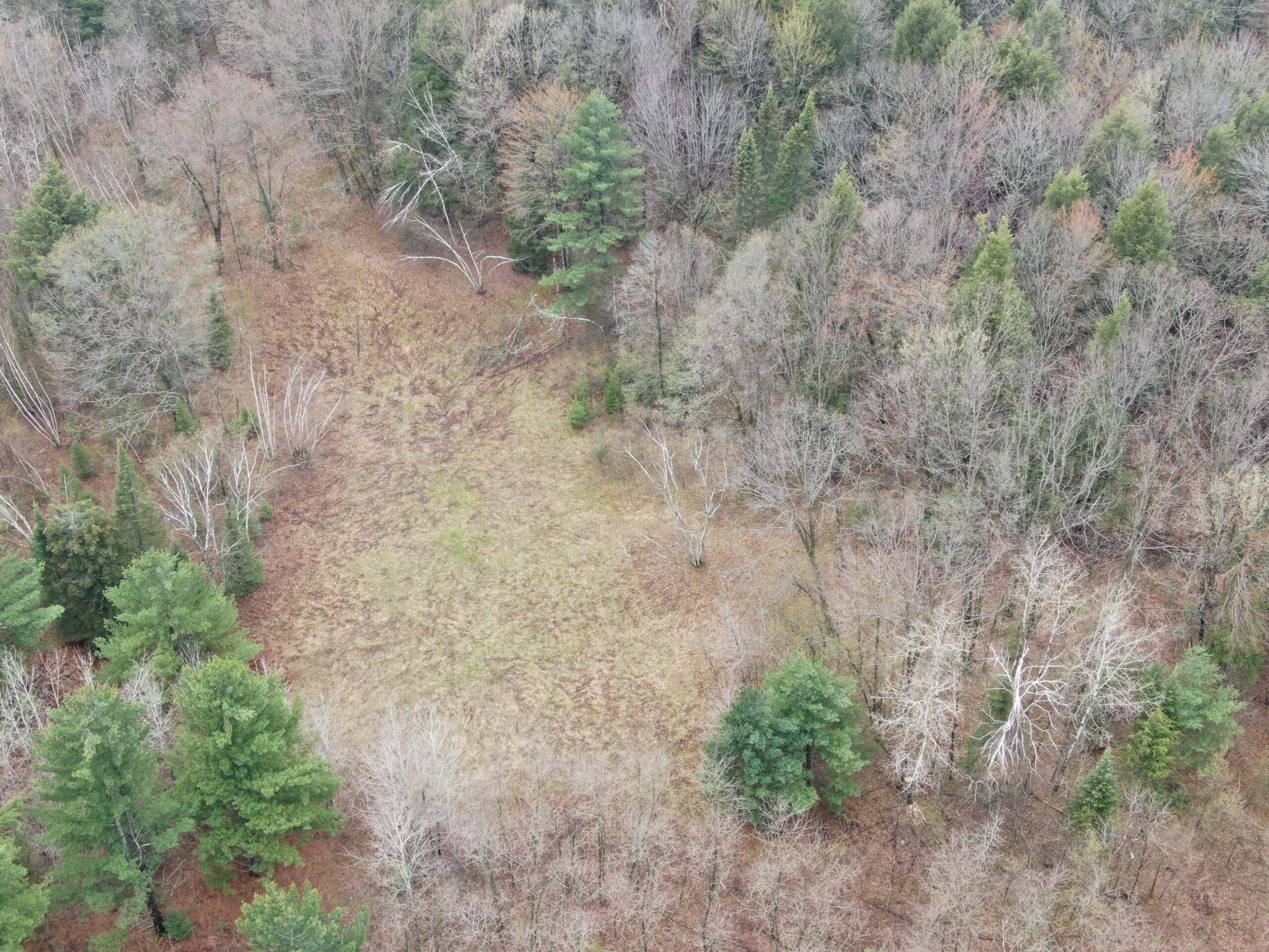 Portage County 40 Acre Hunting and Rec Property for Sale