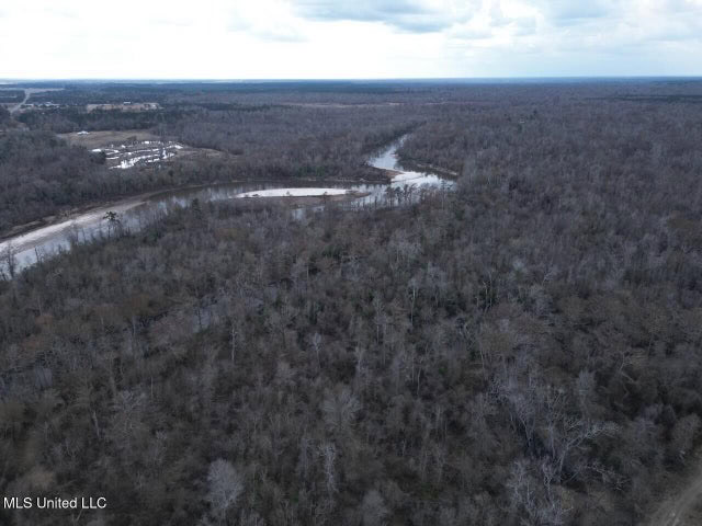 470 Acres on Calcasieu River in Allen Parish, LA