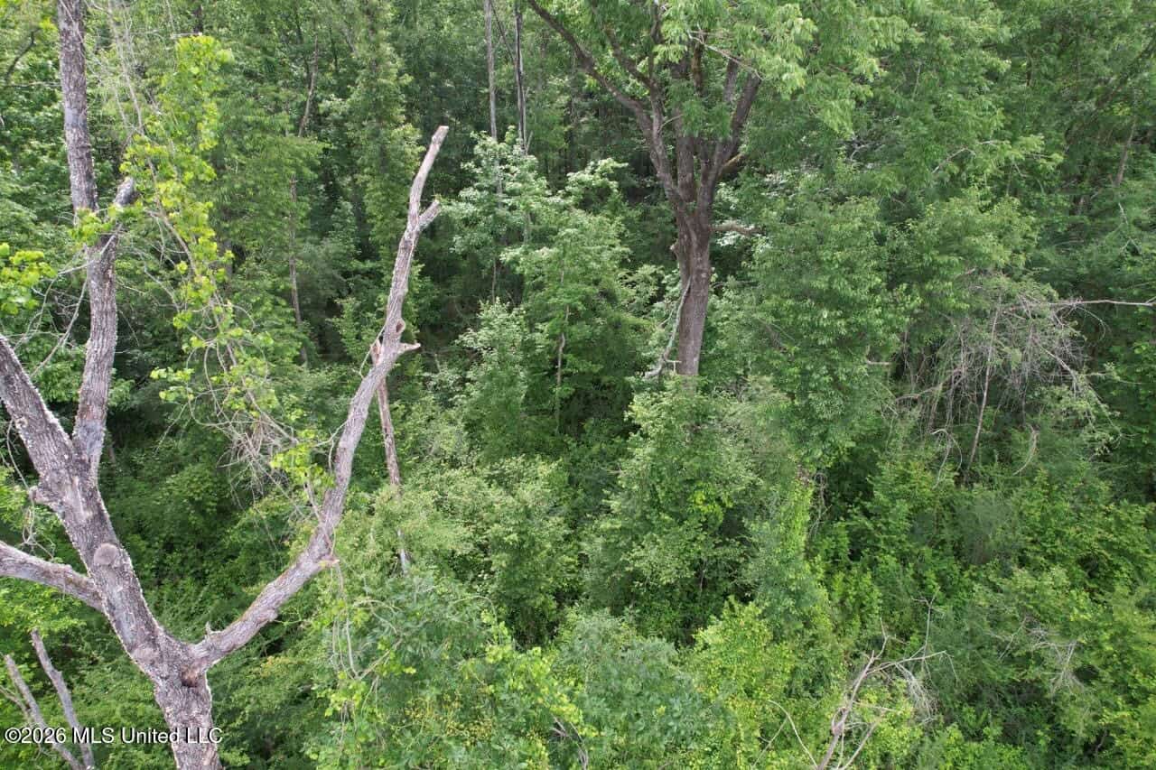 15 Acres with Pond & Homesite in Liberty, MS