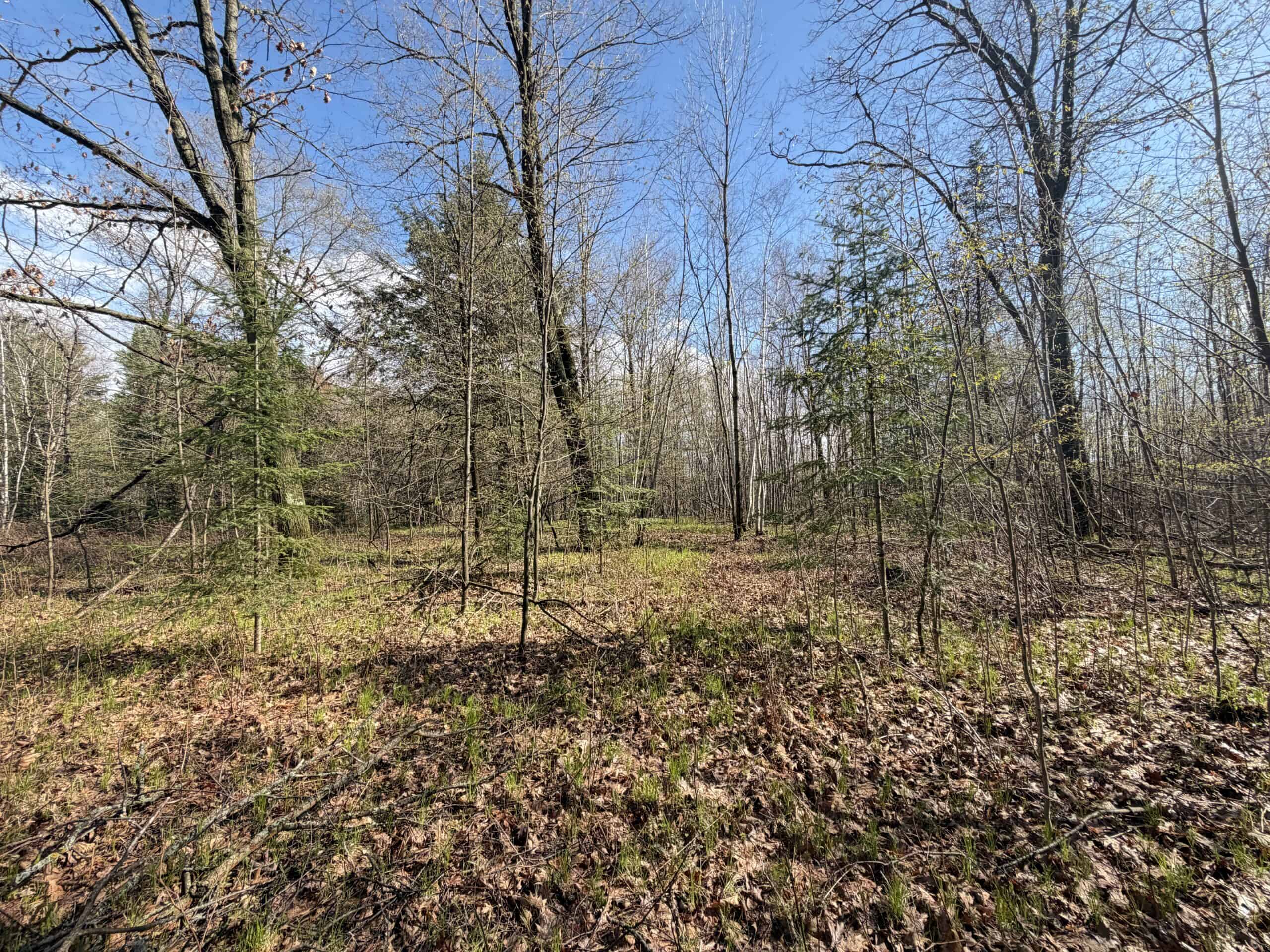 120 acres located in the Town of Dewey, Portage County, WI
