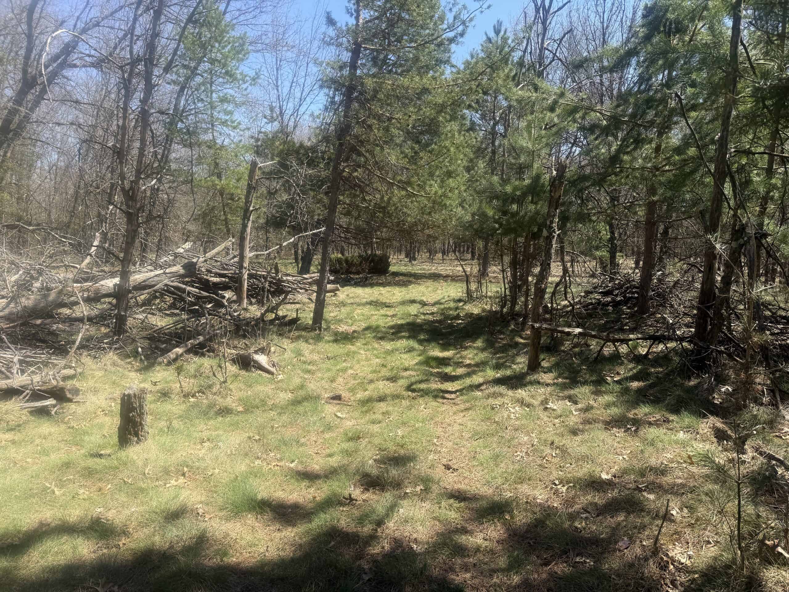 88 Acre Marquette County  WI Hunting Property For Sale
