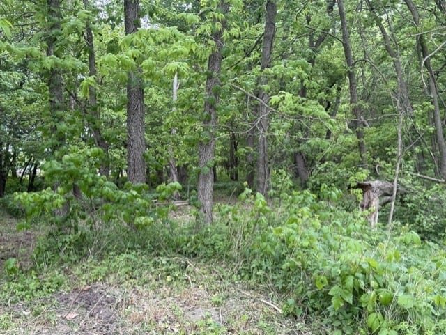 Trophy Whitetail Farm In NW Missouri For Sale – 45 Acres