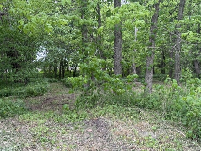 Trophy Whitetail Farm In NW Missouri For Sale – 45 Acres