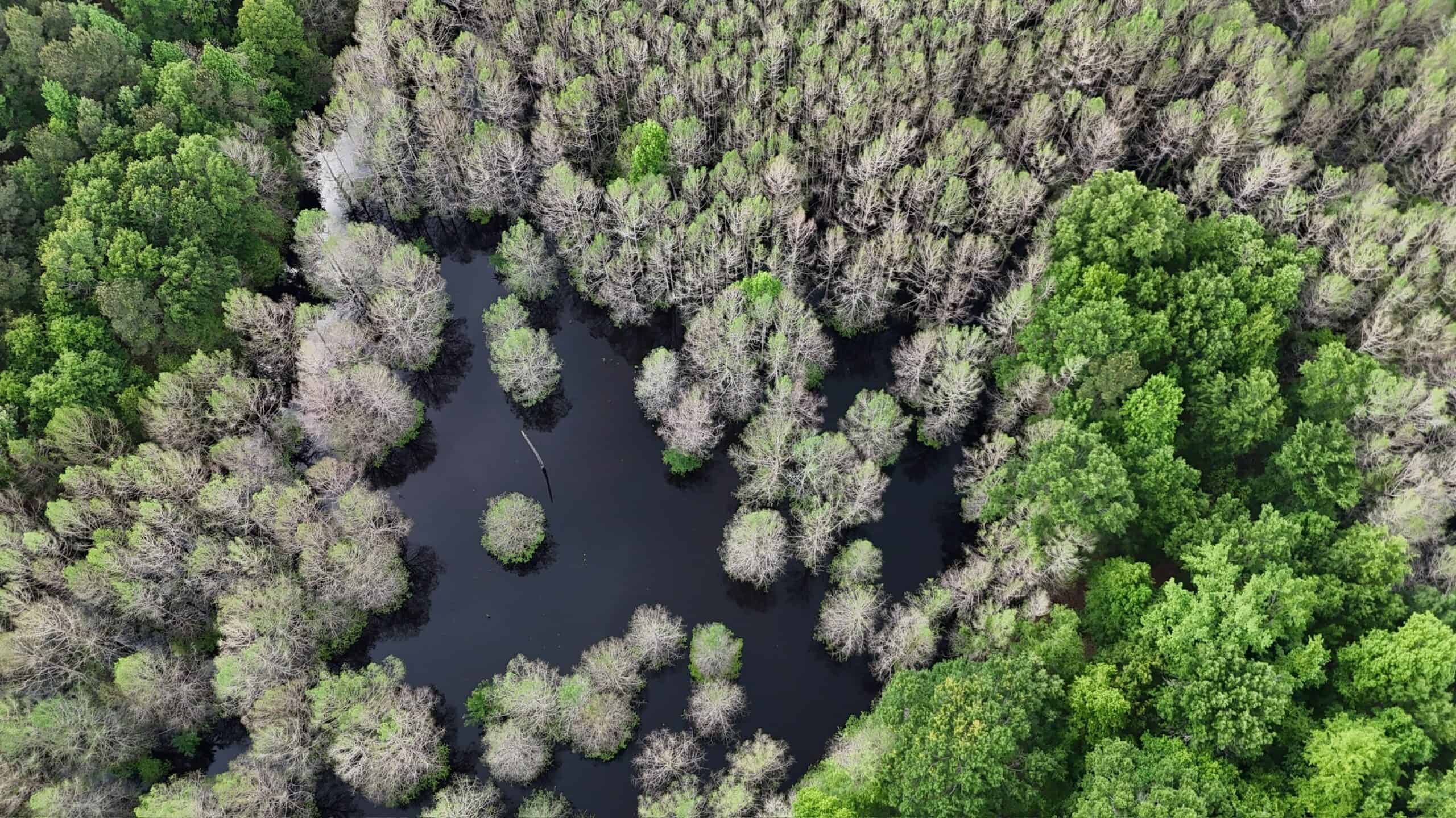 Saline Lake Hunting Property and Lodge Winn Parish LA