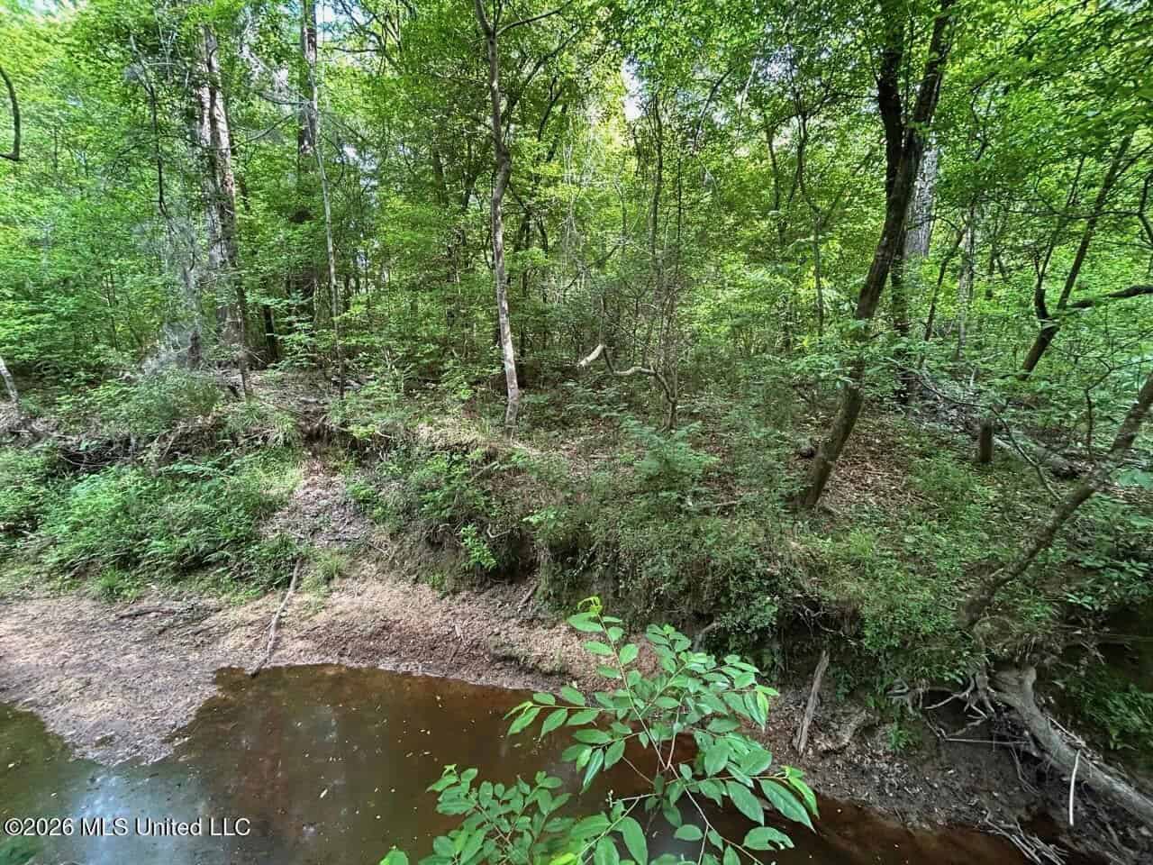 56 Acres in St. Helena Parish with Black Creek