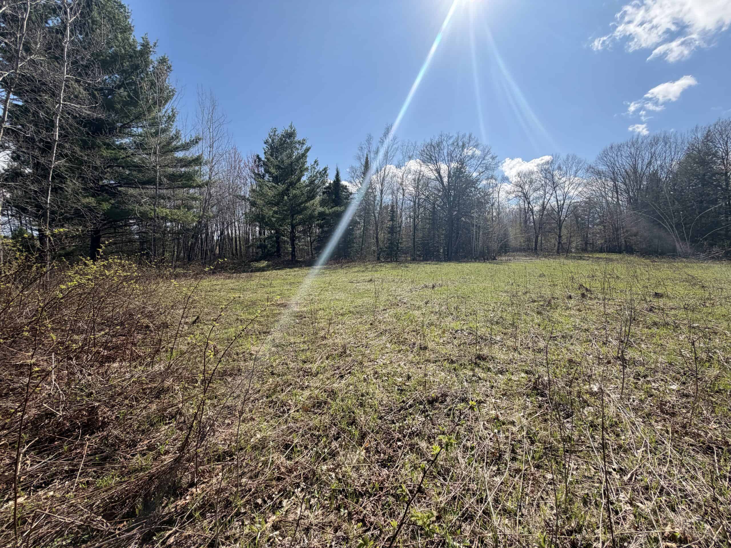 Portage County 40 Acre Hunting and Rec Property for Sale
