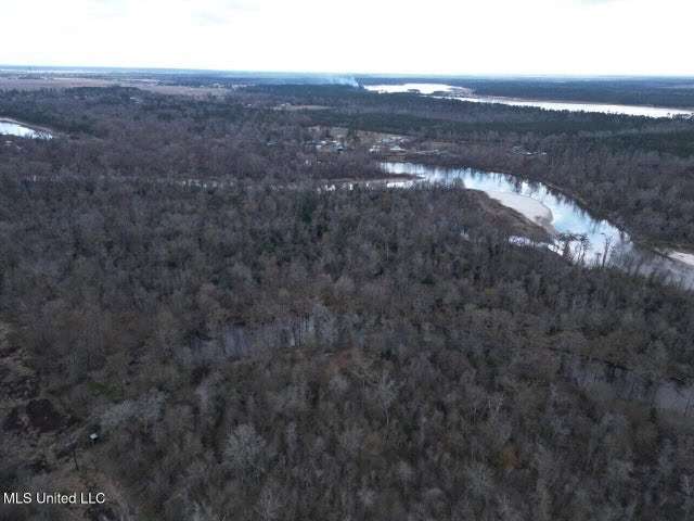 470 Acres on Calcasieu River in Allen Parish, LA