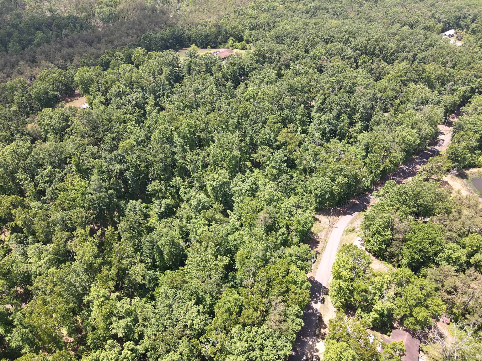 WOODED LAND, ROLLING HILLS NEAR PICKWICK LAKE