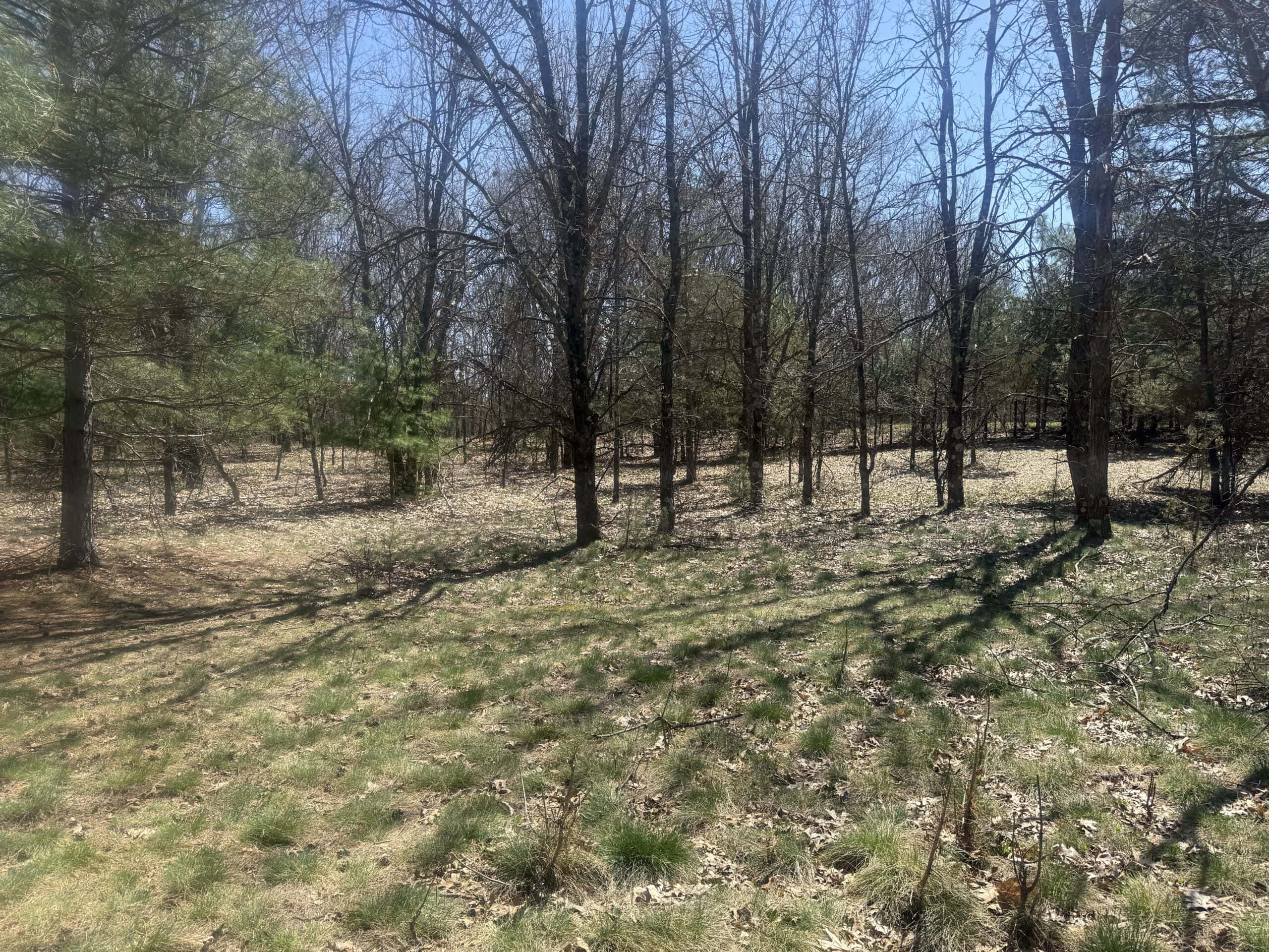88 Acre Marquette County  WI Hunting Property For Sale