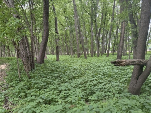 Trophy Whitetail Farm In NW Missouri For Sale – 45 Acres