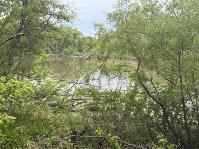 Trophy Whitetail Farm In NW Missouri For Sale – 45 Acres