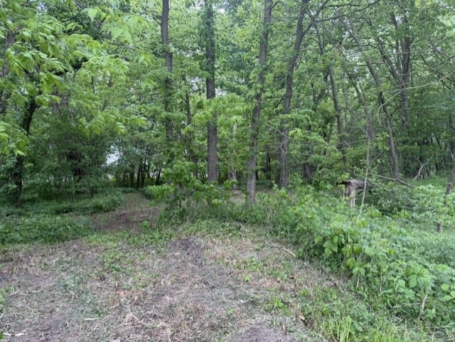 Trophy Whitetail Farm In NW Missouri For Sale – 45 Acres