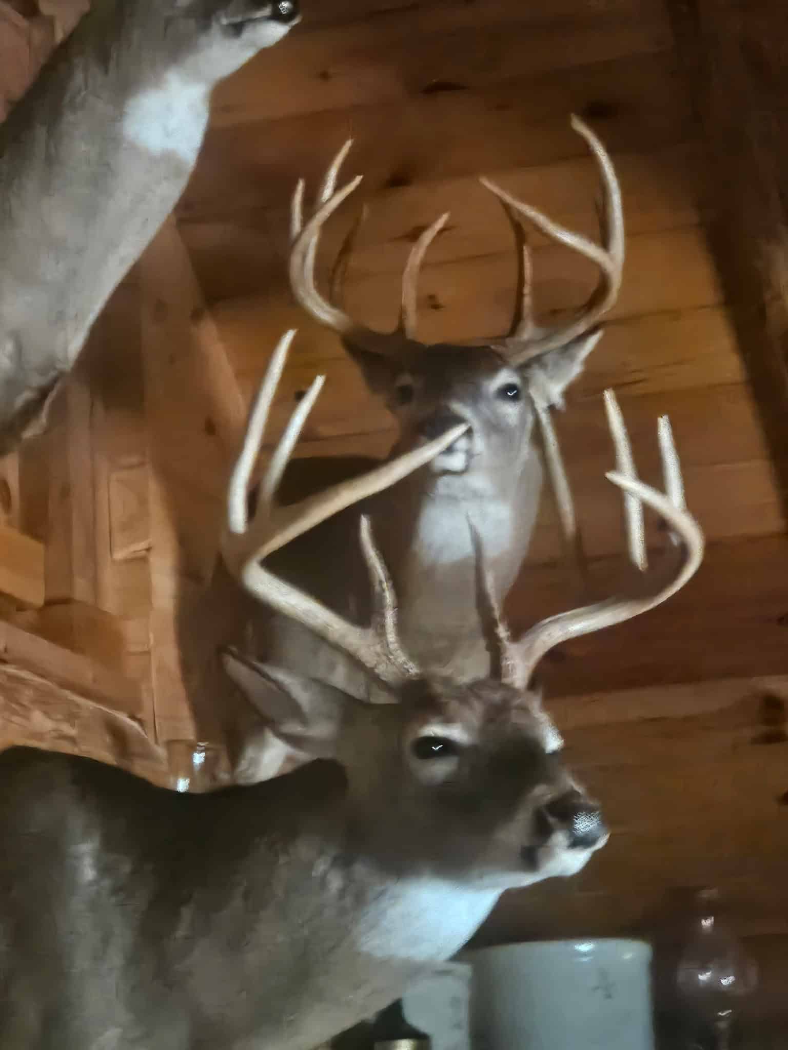 Trophy Whitetail Farm In NW Missouri For Sale – 45 Acres