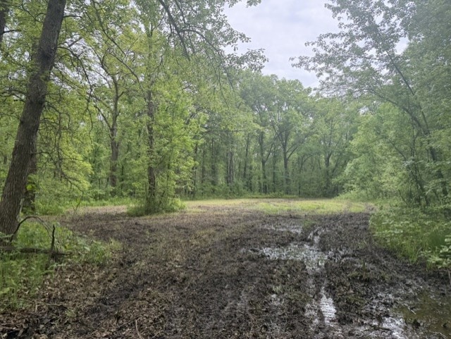 Trophy Whitetail Farm In NW Missouri For Sale – 45 Acres