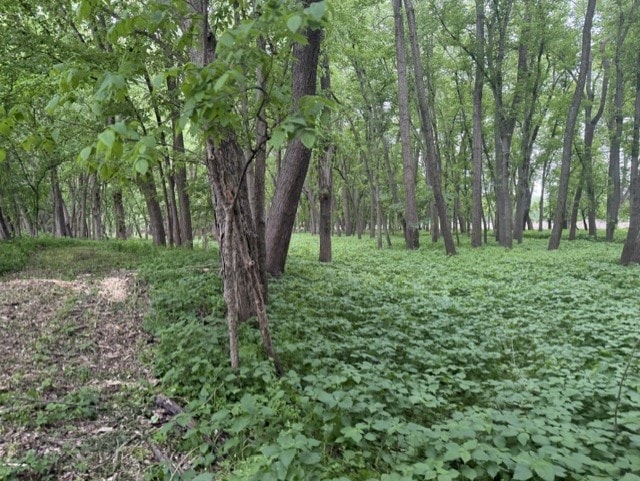 Trophy Whitetail Farm In NW Missouri For Sale – 45 Acres