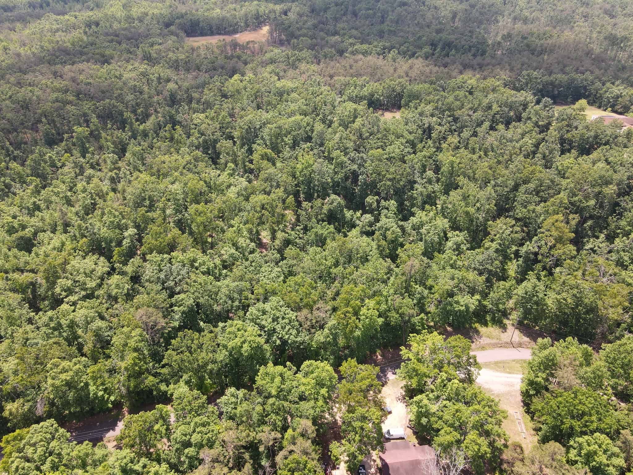 WOODED LAND, ROLLING HILLS NEAR PICKWICK LAKE