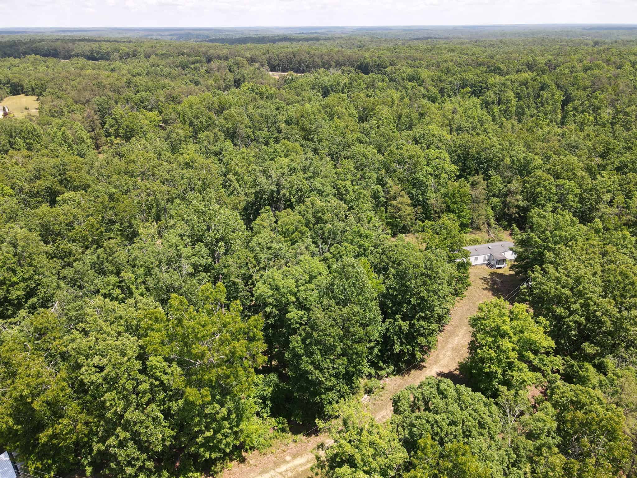 WOODED LAND, ROLLING HILLS NEAR PICKWICK LAKE